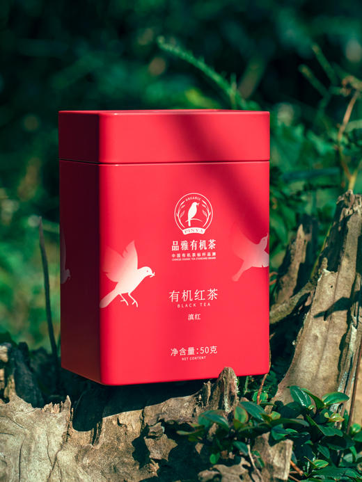 品雅有机茶 滇红 大叶种功夫红茶 云南普洱大叶种 中美欧有机认证 罐装 商品图0