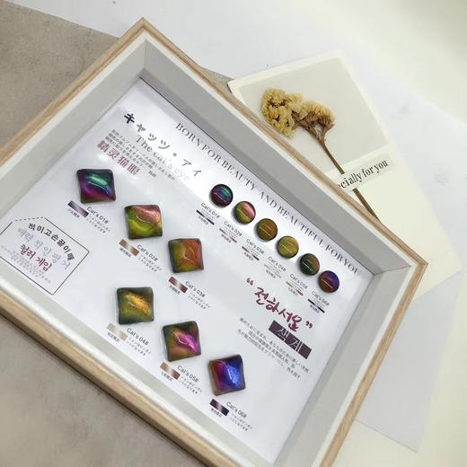 精灵猫眼胶6色套装 商品图0