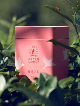 有机红观音