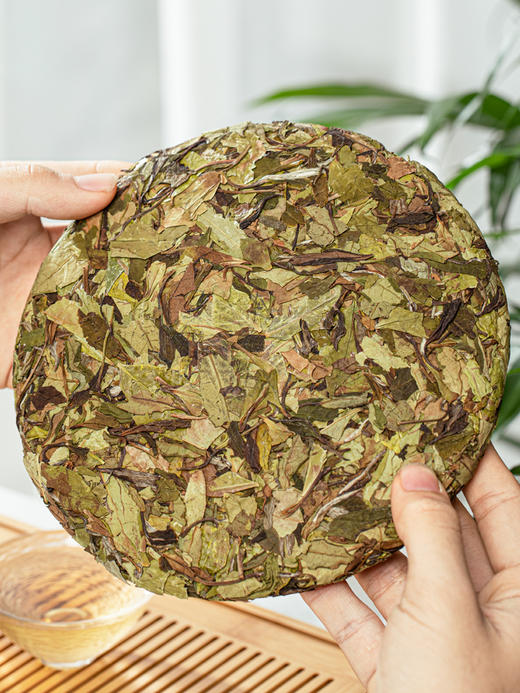 有机茶福鼎白茶 贡眉 高山正宗白茶 紧压饼茶可收藏2019 商品图1