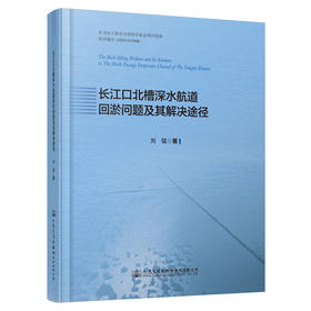 长江口北槽深水航道回淤问题及其解决途径