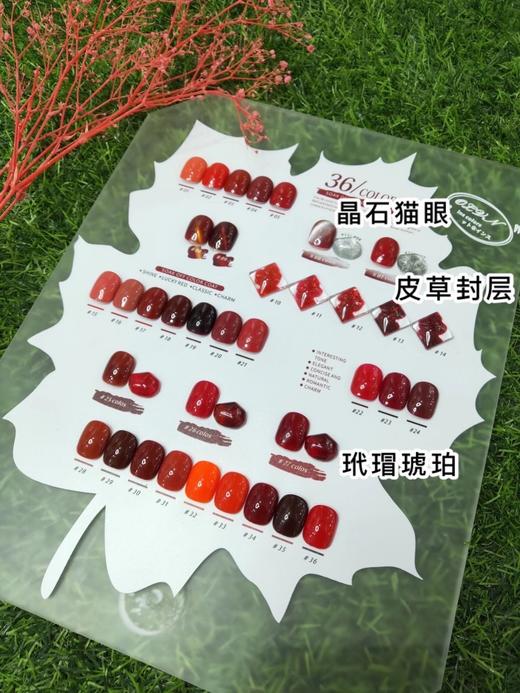 过年红36色套装 商品图0