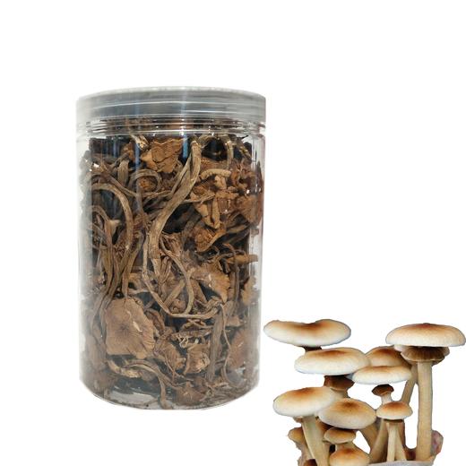 【登真缘】茶树菇100g/罐 商品图1