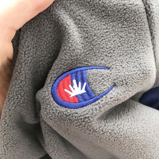 点此购买 冠军儿童刺绣加绒连帽卫衣 小雨171701 商品图10