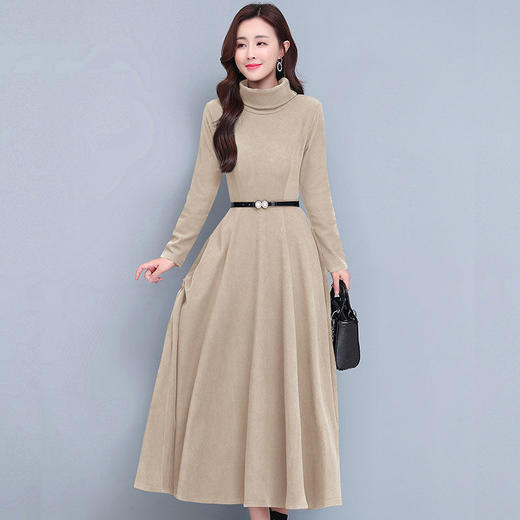 2020秋冬加绒保暖连衣裙阔太太中长款宽松高领修身显瘦打底长裙女jxg