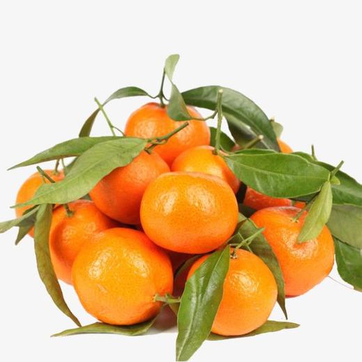 砂糖桔650g