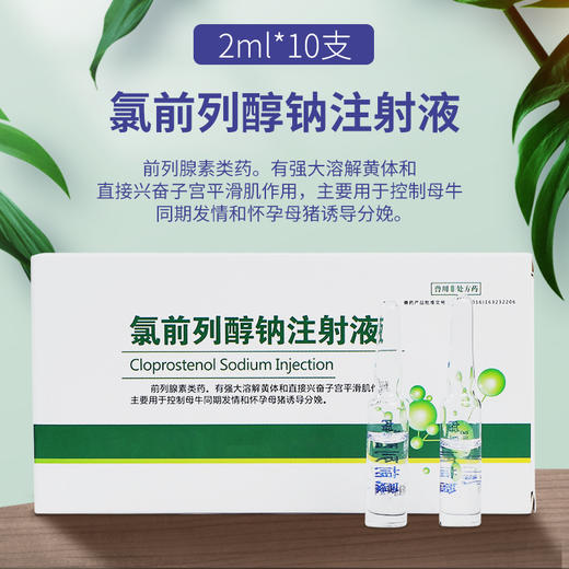华畜 氯前列醇钠注射液10支 牛羊同期发情 催产 猪分娩前列烯醇钠