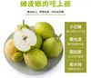 库尔勒香梨（生鲜类商品当日取货，过期按取货日价格） 商品缩略图0
