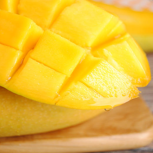 精品金煌芒 商品图5