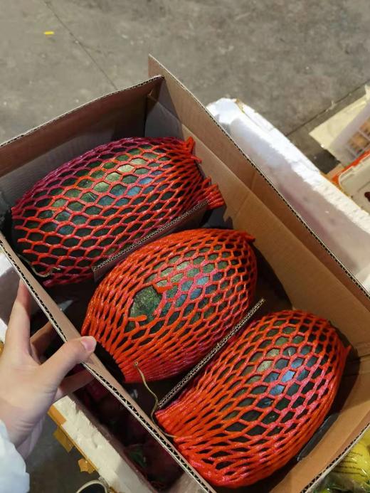 【雨润市场直发】黑美人西瓜 3颗/箱 19斤左右 75元