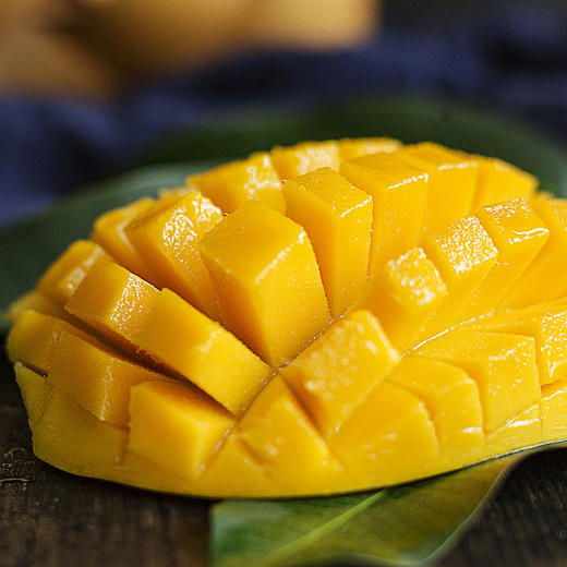 精品金煌芒 商品图3