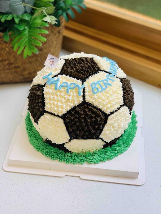 足球 下单前请仔细阅读商品详情 商品图0