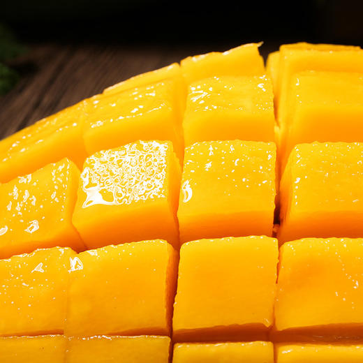 精品金煌芒 商品图2