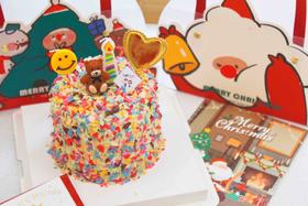 彩色小熊 下单前请仔细阅读商品详情