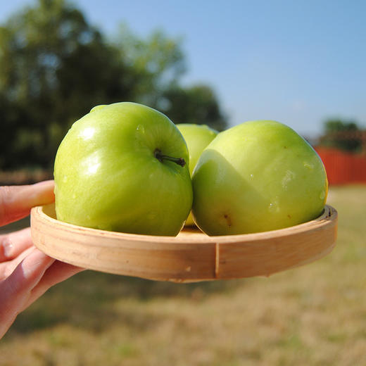 台湾牛奶枣 商品图4