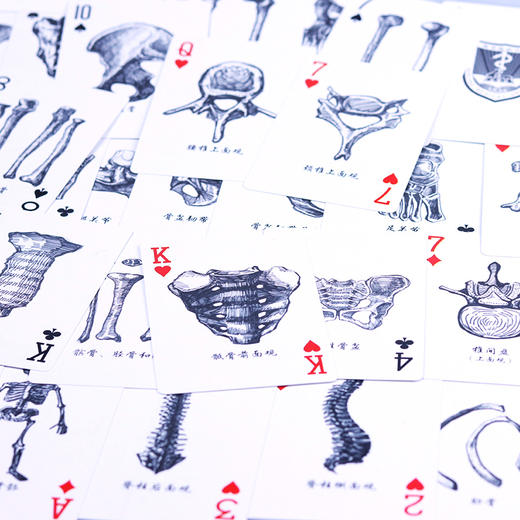 解剖手绘扑克 商品图1
