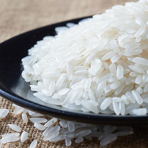 星火清香稻大米5kg/袋 【LY】 商品图3