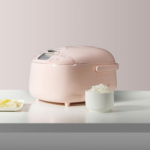 EJR1337PIK  EJR1337GRN 低糖 电饭煲 商品图10