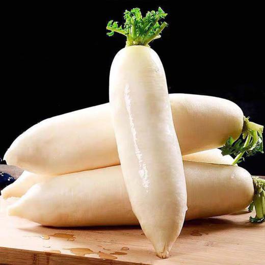 山东精选白萝卜1kg±100g