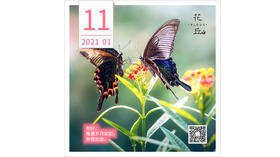 【花丘•心语】