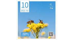 【花丘•心语】