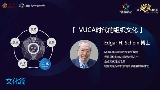 沙因博士 | VUCA时代里文化的作用 商品图0