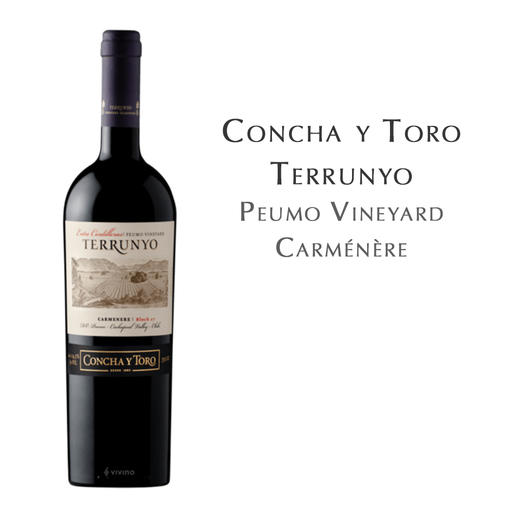 园中园卡麦妮, 智利朴莫 Terrunyo Carmenere, Chile Peumo 商品图0