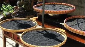  黑芝麻丸就选九蒸九晒的！气虚掉发， 