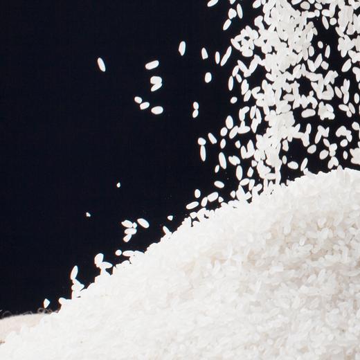 【吉林黑龙江 • 中褚香米】#新米上市# 香甜软糯 米香浓郁 柔韧鲜弹 色泽晶莹油亮 以朴实之地耕植良心稻米 10斤装 商品图1