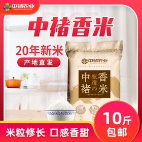 【吉林黑龙江 • 中褚香米】#新米上市# 香甜软糯 米香浓郁 柔韧鲜弹 色泽晶莹油亮 以朴实之地耕植良心稻米 10斤装