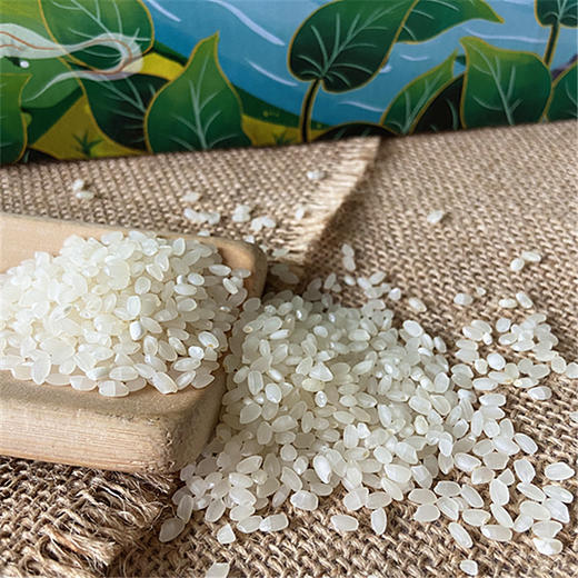 【常州馆】常州建昌芋田香米原生态宝宝粥米江苏一级优质珍珠米5KG礼盒 商品图3