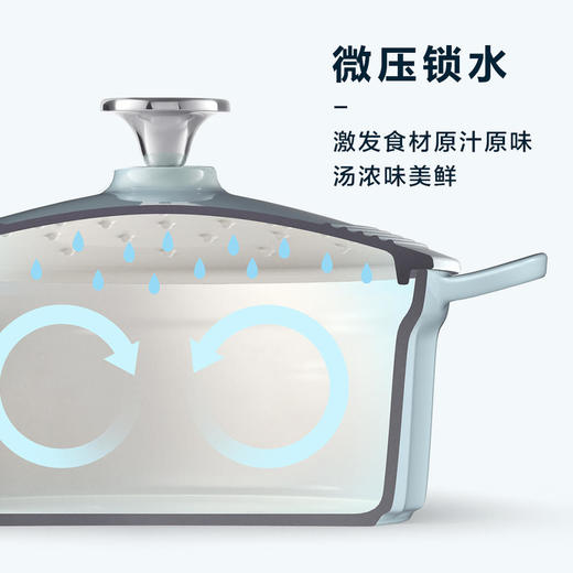 【北鼎】北鼎（Buydeem）珐琅锅铸铁锅—小鲸蓝 商品图6