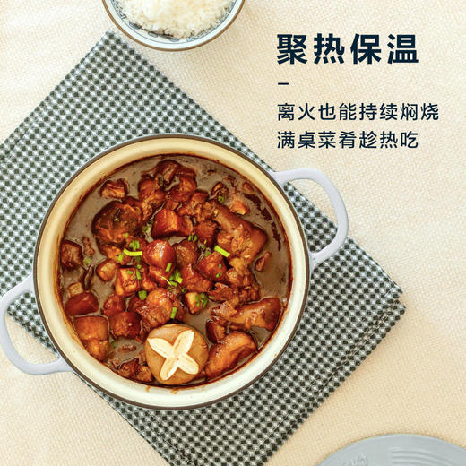 【北鼎】北鼎（Buydeem）珐琅锅铸铁锅—小鲸蓝 商品图8