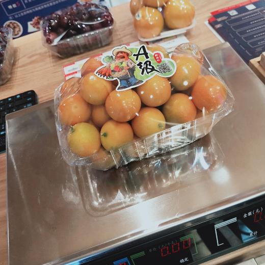 金桔 商品图0