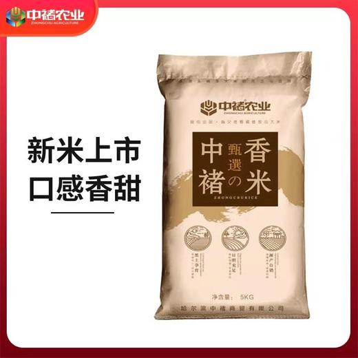【吉林黑龙江 • 中褚香米】#新米上市# 香甜软糯 米香浓郁 柔韧鲜弹 色泽晶莹油亮 以朴实之地耕植良心稻米 10斤装 商品图2