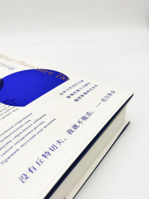 丘特切夫诗全集（与普希金、莱蒙托夫并称的伟大诗人） 商品图2