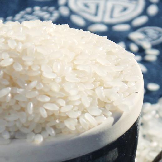 【吉林黑龙江 • 中褚香米】#新米上市# 香甜软糯 米香浓郁 柔韧鲜弹 色泽晶莹油亮 以朴实之地耕植良心稻米 10斤装 商品图6