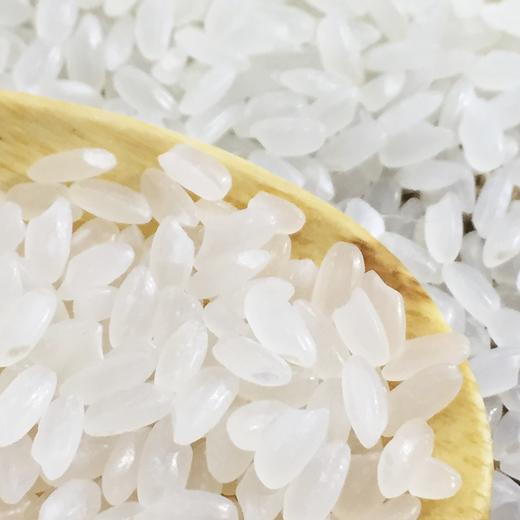 【吉林黑龙江 • 中褚香米】#新米上市# 香甜软糯 米香浓郁 柔韧鲜弹 色泽晶莹油亮 以朴实之地耕植良心稻米 10斤装 商品图4