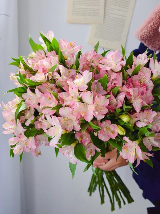 【周四团购】十只进口六初79.8元 2人拼团 商品图1