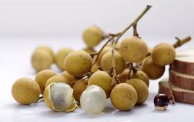 药食同源小知识——龙眼