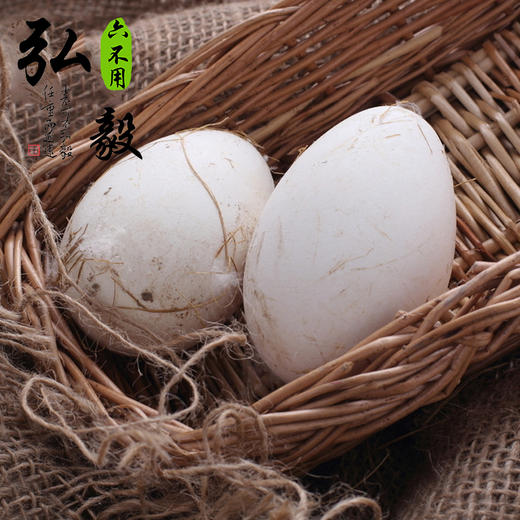 【弘毅六不用生态农场】 生态散养 新鲜鹅蛋 6枚/份 商品图0
