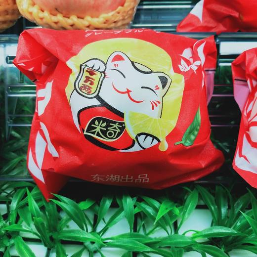 葡萄柚 商品图0