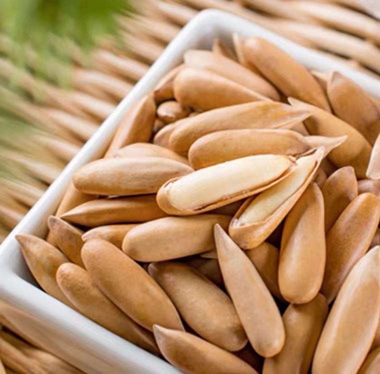 【强丽】野生巴西松子