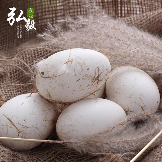 【弘毅六不用生态农场】 生态散养 新鲜鹅蛋 6枚/份 商品图1