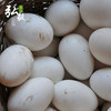 【弘毅六不用生态农场】 生态散养 新鲜鹅蛋 6枚/份 商品缩略图2