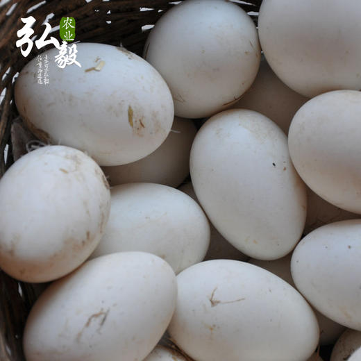【弘毅六不用生态农场】 生态散养 新鲜鹅蛋 6枚/份 商品图2