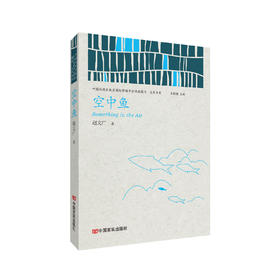 空中鱼 （中国政府出版品国际营销平台精选图书·文学书系）