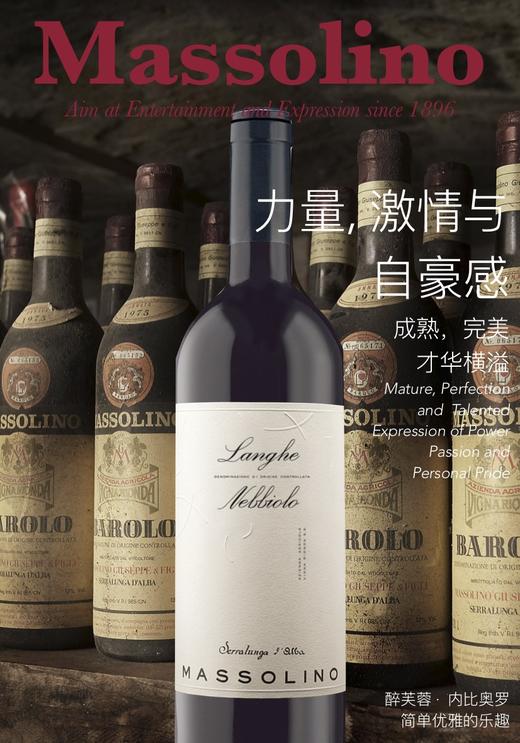 醉芙蓉 内比奥罗红葡萄酒 Massolino Nebbiolo Langhe DOC 2016 商品图2