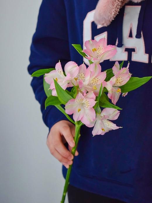 【周四团购】十只进口六初79.8元 2人拼团 商品图2