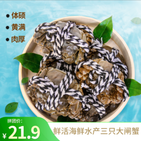 三只大闸蟹鲜活海鲜水产   两母一公 共三只